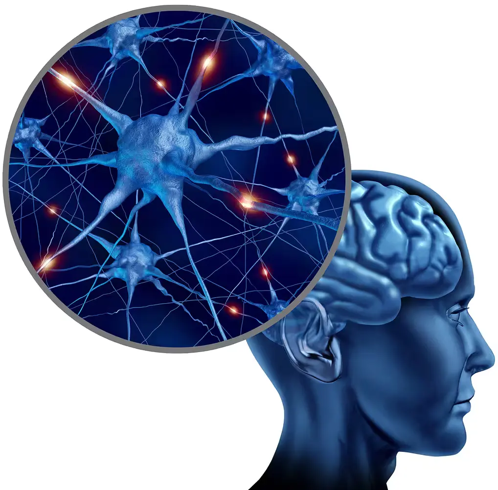 CogniFort Plus Cognitive Wellness Supplement